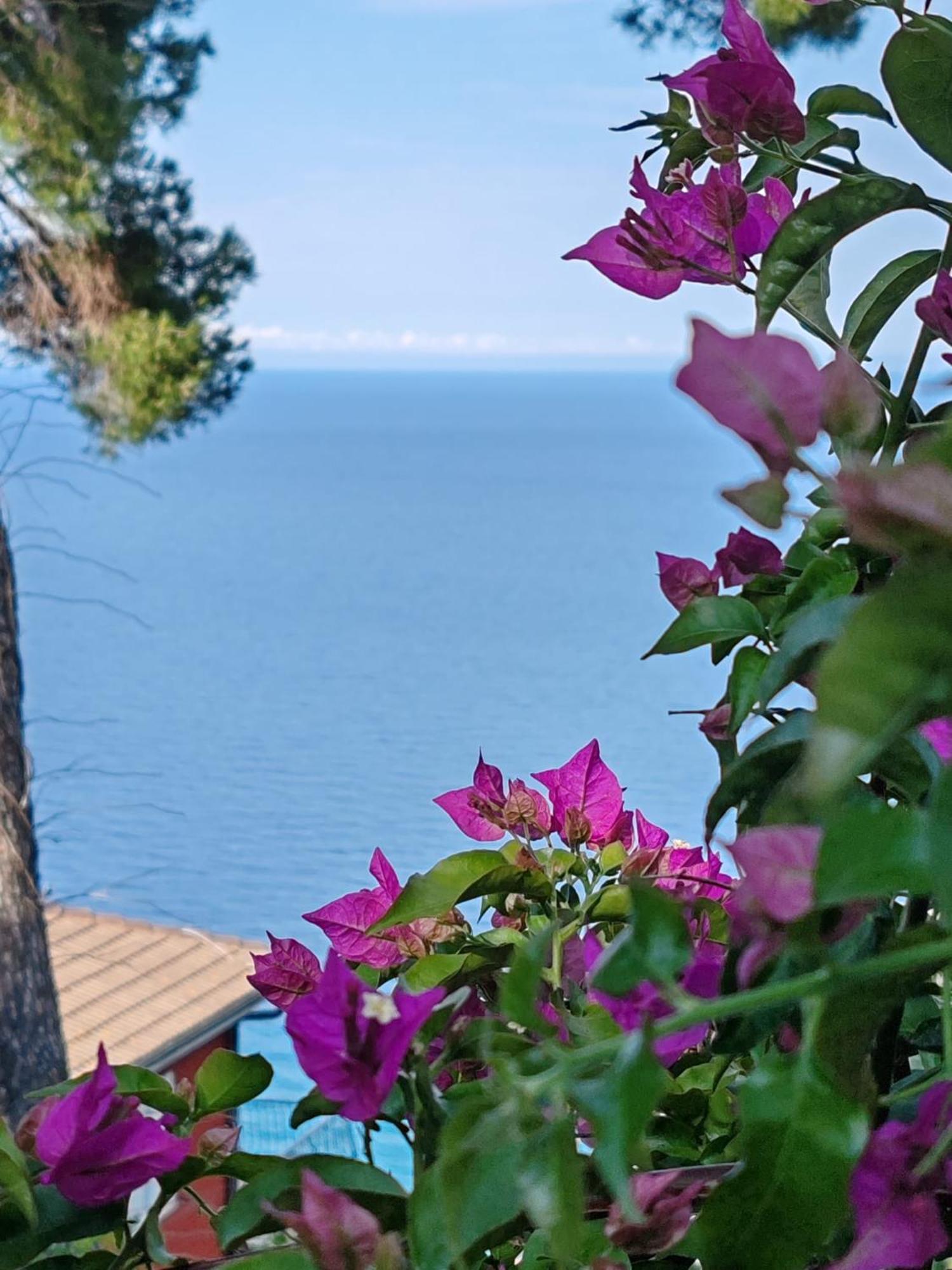 Appartamento Vista Mare Albenga Exteriör bild